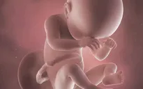 Phát hiện tế bào ung thư truyền từ mẹ sang con qua nước ối