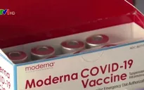 EU chính thức cấp phép lưu hành vaccine Moderna