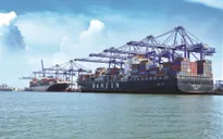 Cảng Quốc tế Tân Cảng – Cái Mép đạt giải thưởng Cảng xanh 2020