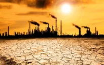 Năm 2020 và 2016 nóng nhất lịch sử do biến đổi khí hậu