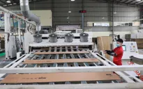 Hơn 2.000 doanh nghiệp ra đời trong tuần đầu tiên năm 2021