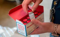 Anh và Pháp phê duyệt lưu hành vaccine ngừa COVID-19 của Moderna