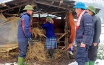 Vùng núi phía Bắc ứng phó với giá rét