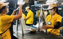 Xây dựng cơ sở dữ liệu: Nền tảng cho lộ trình phục hồi