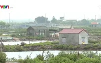 Bão số 7: Huyện Kim Sơn khẩn trương triển khai biện pháp hộ đê