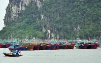 Nhiều địa phương cấm biển ứng phó bão số 7