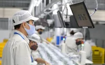 Gần 50% doanh nghiệp không cắt giảm nhân sự, giữ nguyên lương