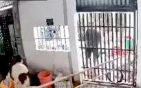 Cặp vợ chồng đang ngồi ăn cơm bất ngờ bị chém tử vong