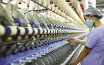 Bộ Tài chính lập Tổ công tác đặc biệt gỡ khó cho doanh nghiệp, người dân