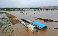 Mưa lớn gây lũ lụt nghiêm trọng ở miền Bắc Trung Quốc, ít nhất 15 người thiệt mạng