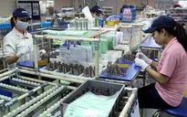 Doanh nghiệp FDI TP Hồ Chí Minh từng bước tái sản xuất