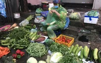 Giá rau xanh tăng mạnh, người mua sững sờ
