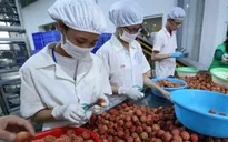 Chủ động thích ứng trước quy định nhập khẩu nông sản mới