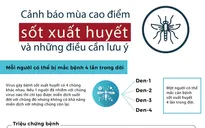 [Infographic] Cảnh báo mùa cao điểm sốt xuất huyết và những điều cần lưu ý