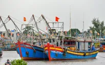 Nhiều địa phương cấm biển, khẩn trương ứng phó bão số 9