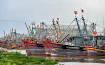 Một ngư dân mất tích khi cùng tàu cá di chuyển tránh bão số 4