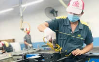 Nhiều người lao động bám trụ lại TP Hồ Chí Minh, tìm cơ hội mới