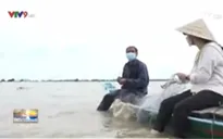 Giăng lưới mùa nước nổi