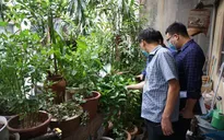 Hà Nội không phát sinh ổ dịch sốt xuất huyết mới