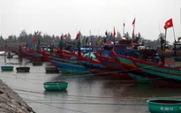 Các phương tiện, người lao động ở Thanh Hóa đã vào tránh trú an toàn