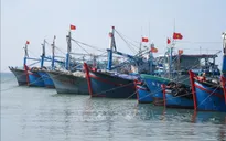 Khắc phục “thẻ vàng” IUU: Xây dựng, bổ sung kế hoạch thực hiện chống khai thác IUU phù hợp