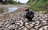 5 tỉnh chịu hạn hán được hỗ trợ 30 triệu USD