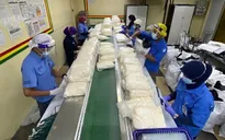 Nhiều nước ASEAN “khát” lao động