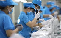 Nhiều doanh nghiệp FDI mở rộng sản xuất tại Việt Nam