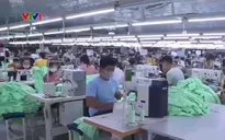 Thừa Thiên - Huế hỗ trợ sinh kế cho lao động trở về từ vùng dịch