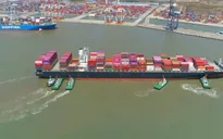 Giá cước vận tải biển của Việt Nam thấp nhất trong khu vực trên cùng tuyến