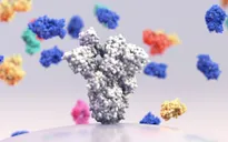 Giới khoa học Thụy Sĩ phát hiện siêu kháng thể chống virus gây bệnh COVID-19