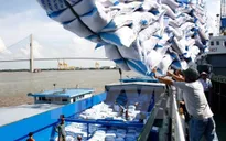 Nhãn hiệu Gạo Việt Nam/Vietnam Rice được bảo hộ tại 22 quốc gia