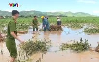 Đắk Lắk tập trung khắc phục hậu quả do mưa lũ gây ra