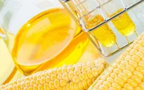 Hoàn tất điều tra chống bán phá giá đường lỏng từ Trung Quốc và Hàn Quốc