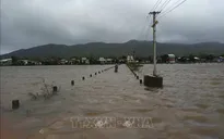 Quảng Ngãi có nhiều vùng bị ngập sâu
