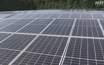 Nhật Bản đặt mục tiêu tăng gấp đôi sử dụng năng lượng tái tạo vào năm 2030