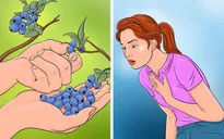 6 thực phẩm “bổ dưỡng” có thể trở nên “độc hại” khi ăn quá nhiều