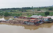 Bắt giữ số lượng tàu khai thác cát trái phép lớn nhất từ trước đến nay