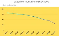 Giá thịt lợn đã "nhảy múa" như nào trong 10 tháng qua?
