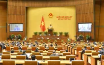 Ngày 27/10, Quốc hội thảo luận về chính sách đặc thù cho 4 tỉnh, thành phố