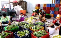 Xuất khẩu rau quả sang EU chiếm chưa tới 1% thị phần