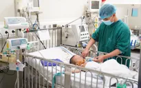 Đắp lá cây chữa bệnh, bé trai 20 tháng bị hoại tử bộ phận sinh dục