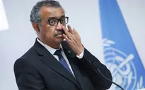 EU đình chỉ tài trợ cho các chương trình của WHO ở Congo sau bê bối lạm dụng tình dục