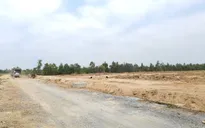 Giá đất nền trong quý III/2021: Hà Nội bất ngờ vẫn tăng, khu phía Nam đi xuống