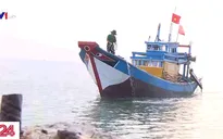 TP Hồ Chí Minh: Nhiều tàu cá vươn khơi trở lại, ngư dân phấn khởi