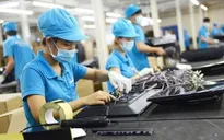 Sẽ sớm giảm thuế để hỗ trợ người dân và doanh nghiệp