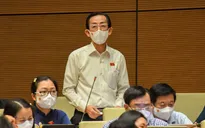 Đại biểu Quốc hội đề xuất sớm can thiệp bình ổn giá xăng dầu