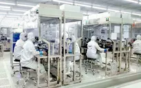 Việt Nam - Điểm đến hấp dẫn nhà đầu tư Thổ Nhĩ Kỳ