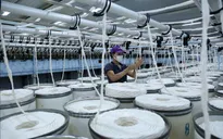Hoa Kỳ ban hành kết luận cuối cùng về chống bán phá giá với sợi PTY của Việt Nam
