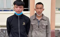 Tạm giữ hình sự 2 kẻ hành hung dã man học sinh trước cổng trường